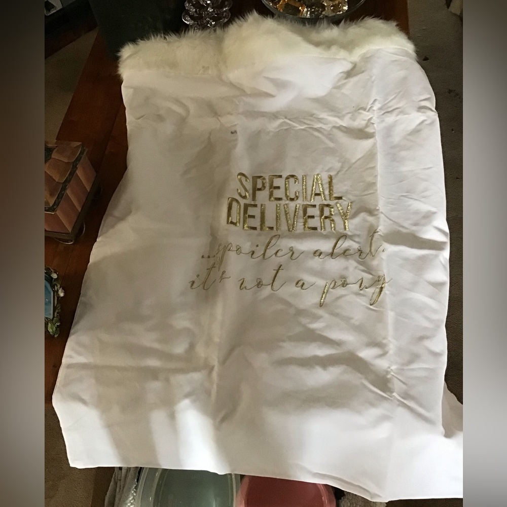 NWOT Beautiful Holiday Christmas Santa Delivery Bag